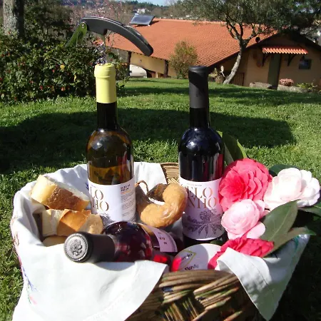 Quinta De Carcavelos Agroturismo E Enoturismo Celorico De Basto Exterior photo
