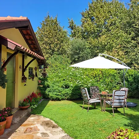 Quinta De Carcavelos Agroturismo E Enoturismo Celorico De Basto Exterior photo