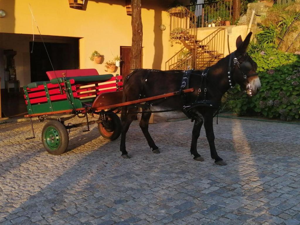Quinta De Carcavelos E Enoturismo *