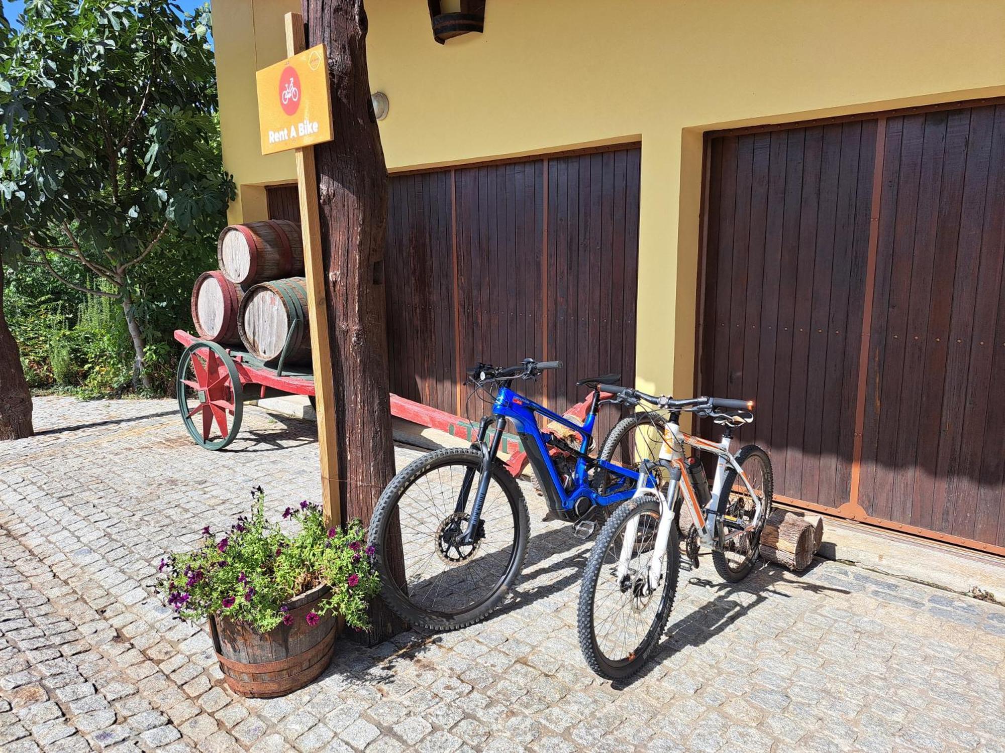 Quinta De Carcavelos E Enoturismo Casa de Férias Celorico De Basto